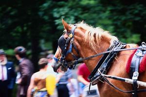 宮崎市にある快適な滞在を提供する東横INN宮崎中央通の魅力と詳細情報