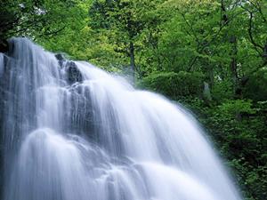 金沢の観光で人気の体験を知っていますか