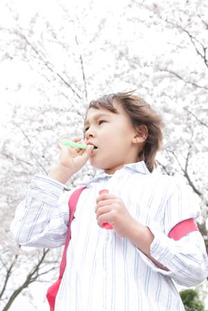 2026年最新ガイド：千葉のグランピングで贅沢な非日常を楽しむ完全攻略