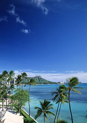 家族で楽しむ石垣島アクティビティ完全ガイド：初心者向けの安全な体験から自然観察まで