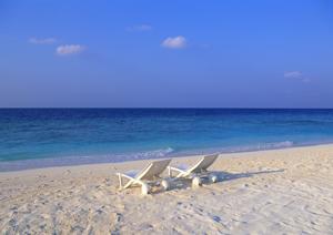 神奈川県横浜市に位置する東横INN新横浜駅前本館：快適な宿泊体験と便利なアクセスを提供するビジネスホテルの詳細ガイド