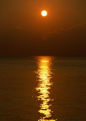 福島旅館で魅力的な温泉宿はここ