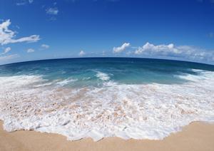 東横INN京王線東府中駅北口｜東京都府中市に位置する快適なビジネスホテルの魅力と詳細情報