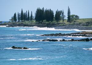ブータン旅行の費用徹底ガイド｜予算内で楽しむ絶景と文化体験のベストプラン