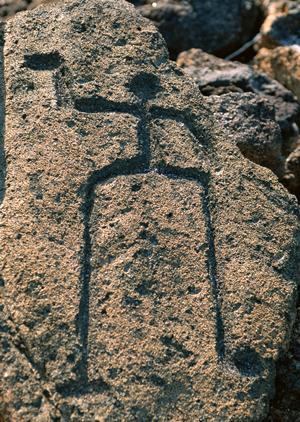 ハリネズミの動物カフェで楽しもう