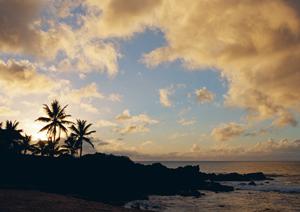 上田駅前の快適なビジネスホテル【東横INN上田駅前】詳細ガイド2024年版