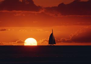 初心者や女性も大歓迎の相模湾の釣り船